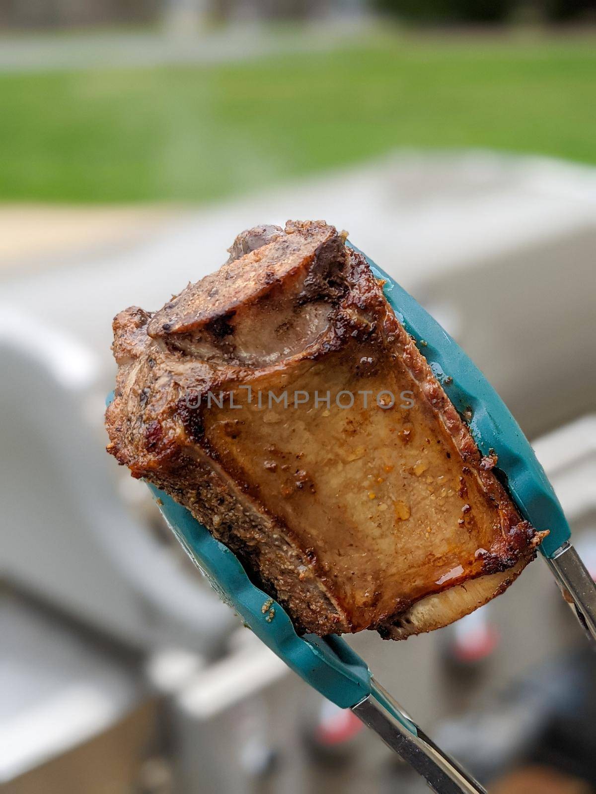 delicious bbq ribs ready to eat by digidreamgrafix