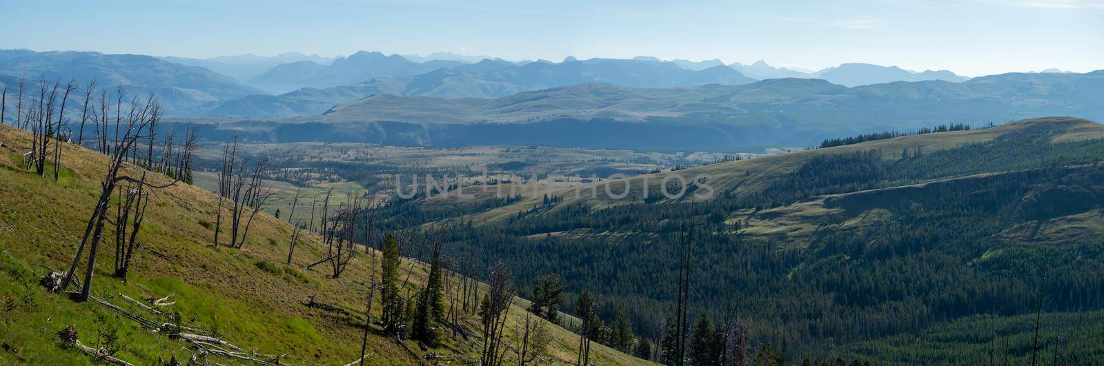 scenery at Mt Washburn trail in Yellowstone National Park, Wyoming, USA by digidreamgrafix