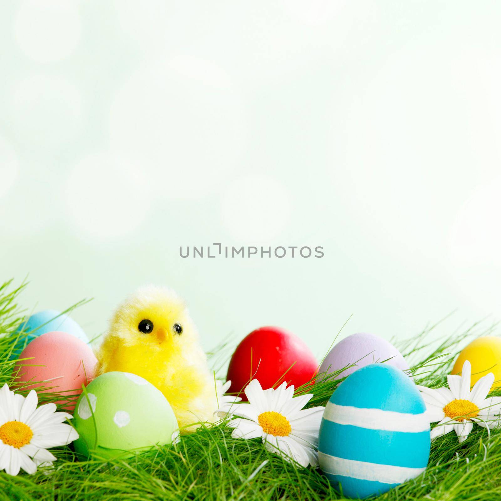 Easter composition by Yellowj