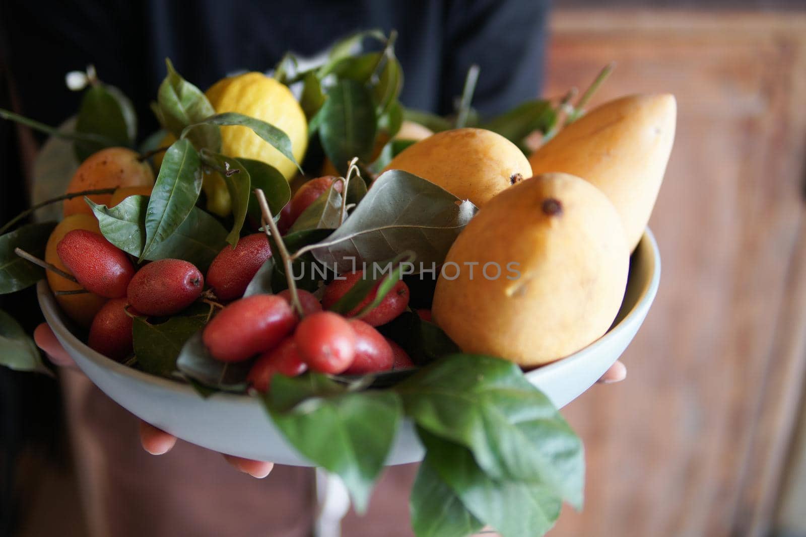 hand holding dish with mango lemon, Indian ivy-rue Zanthoxylum Limonella Alston