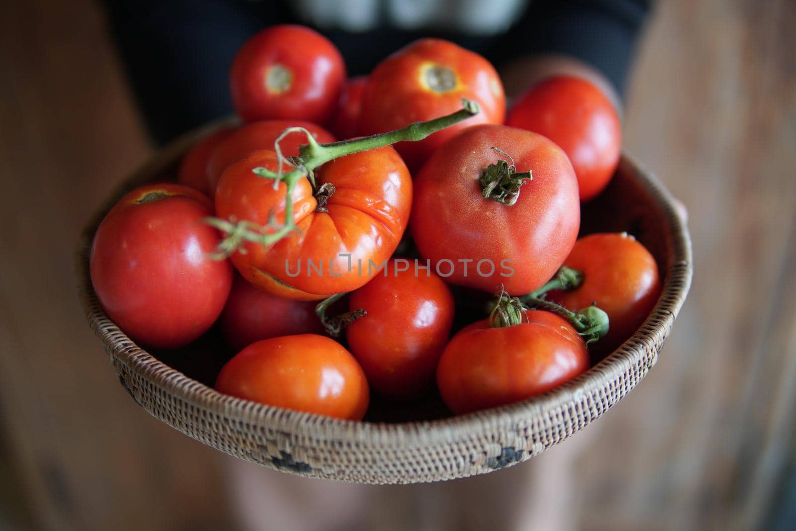 hand holding fresh raw red tomatoes in wicker basket