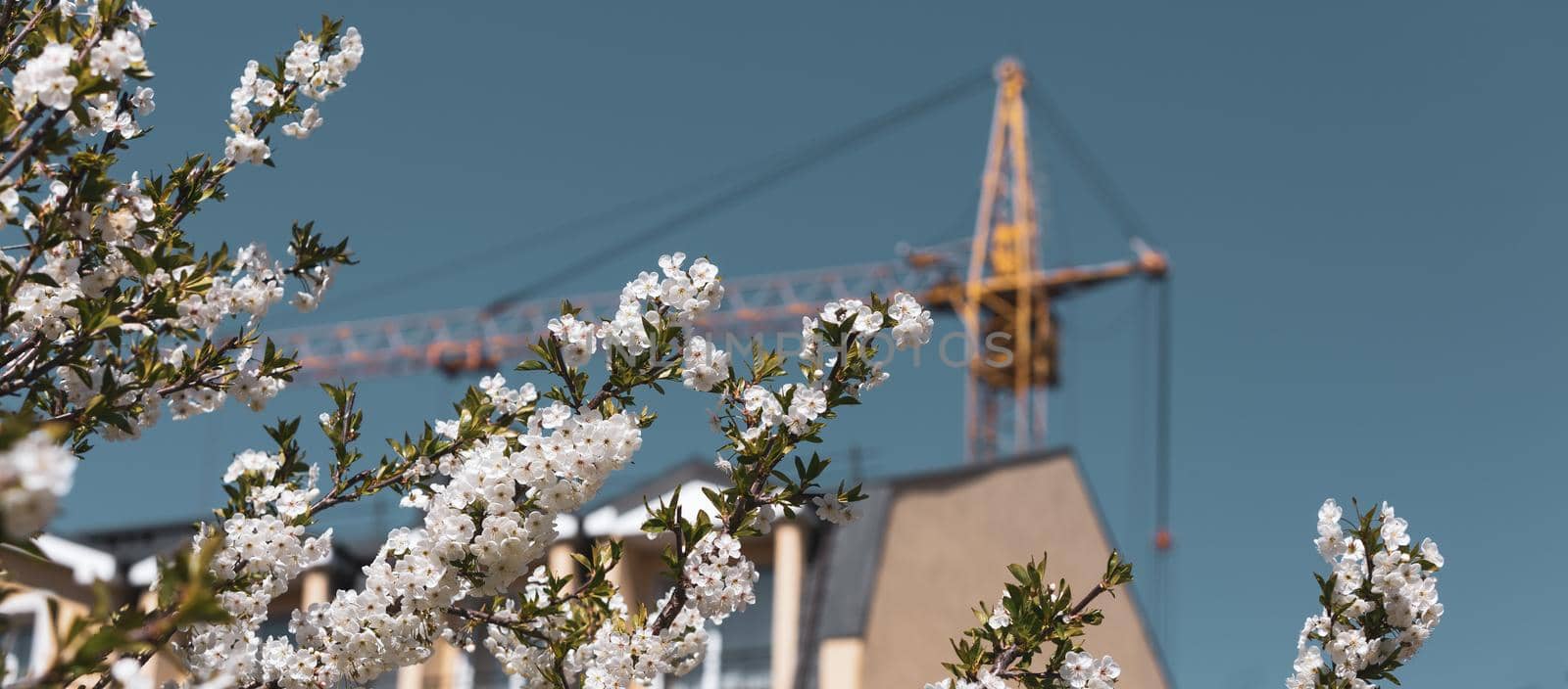 Spring and new house construction concept. Construction crane with a spring flowering trees and blue sky on a sunny day
