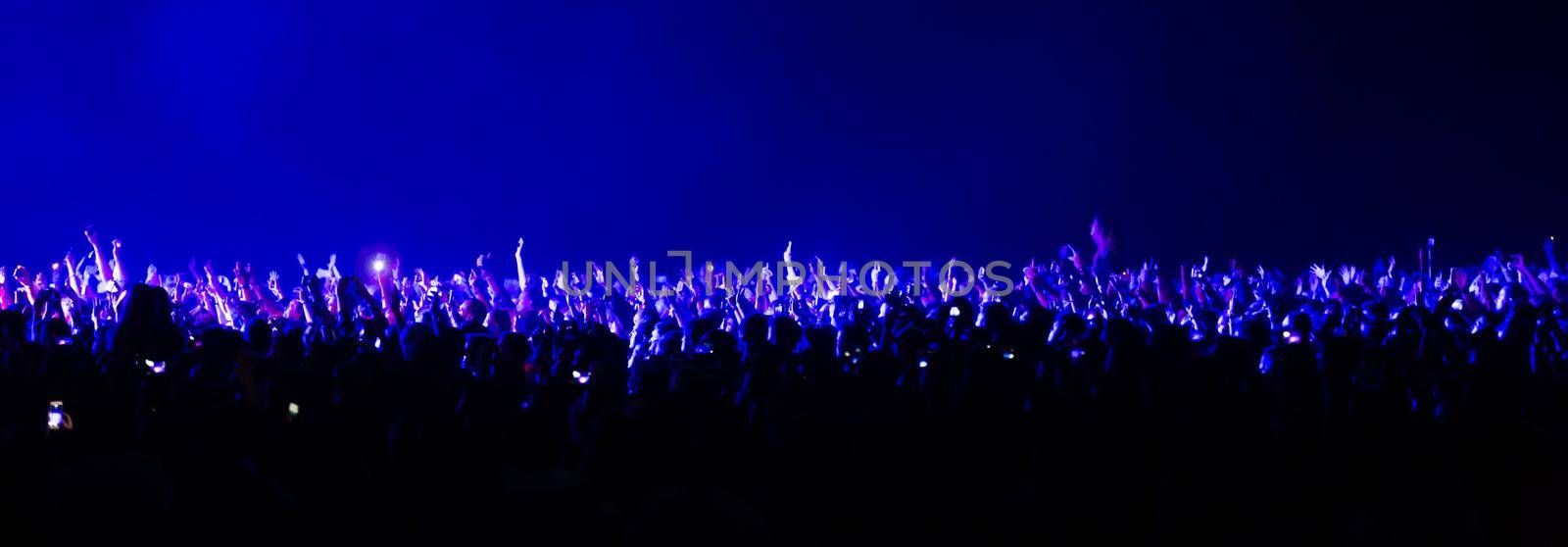 spectators at a concert at night by palinchak