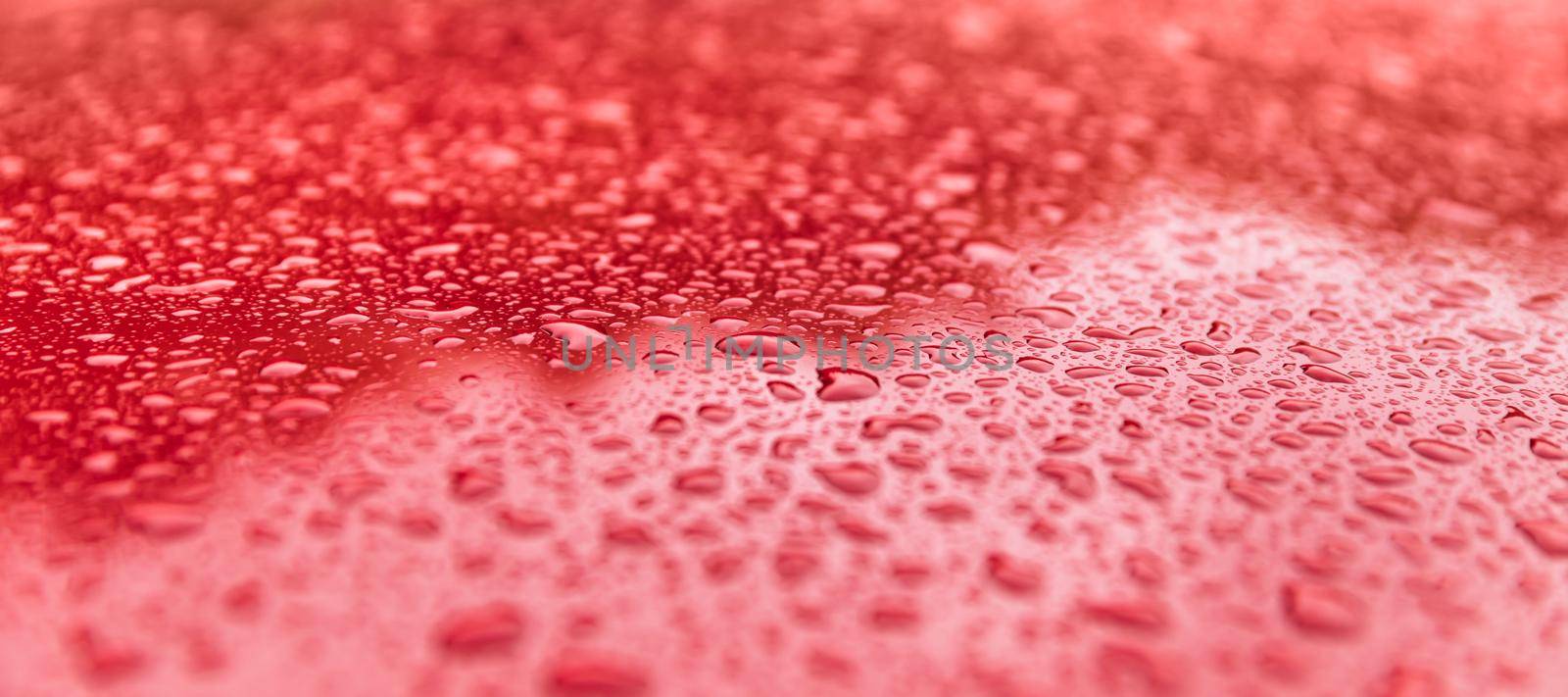 Rain drops on a red surface. Water drops on red metal texture. Shallow focus. Detail of red wet surface after rain