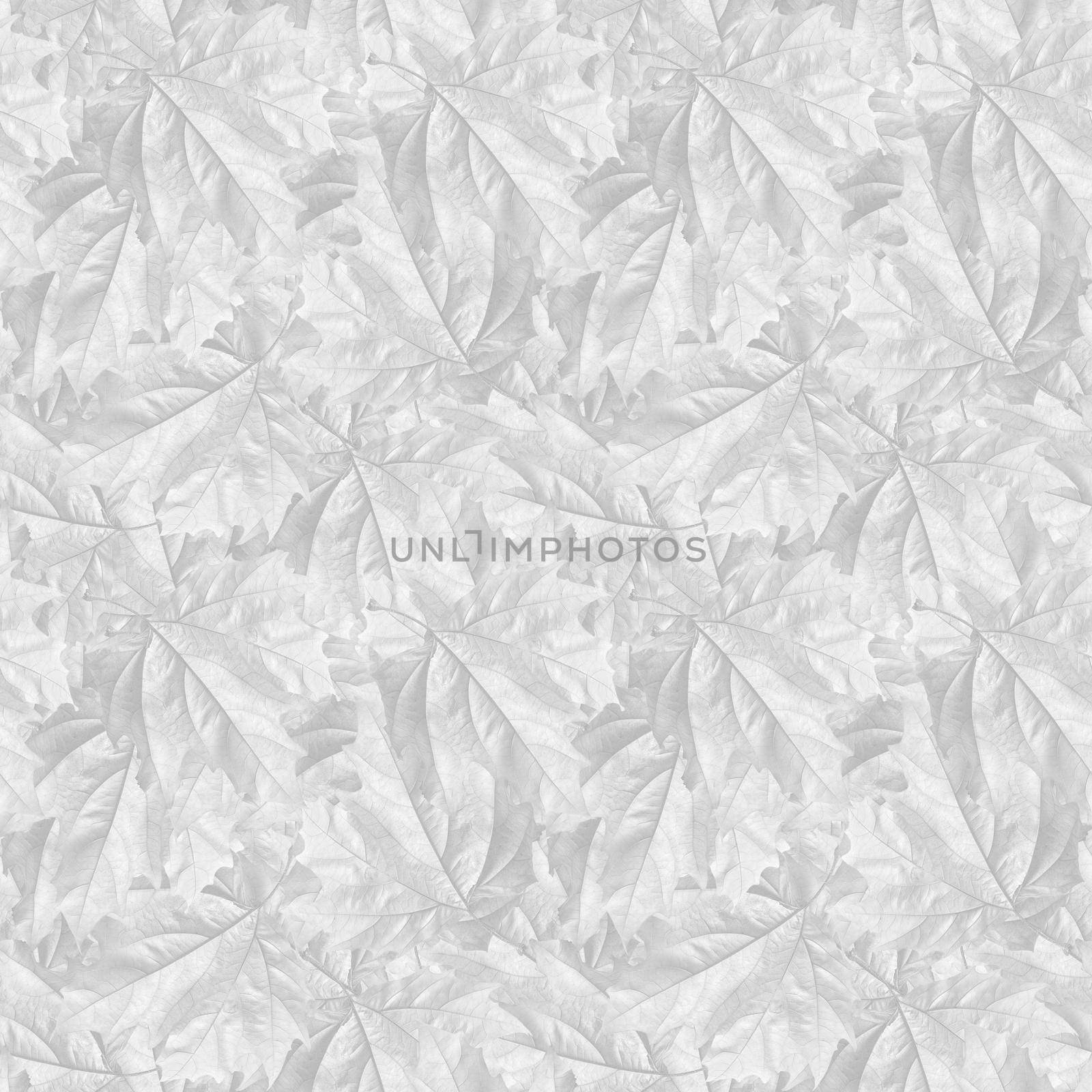 Nature background in light gray tonality. Dry autumn leaves seamless pattern. Autumn leaves texture