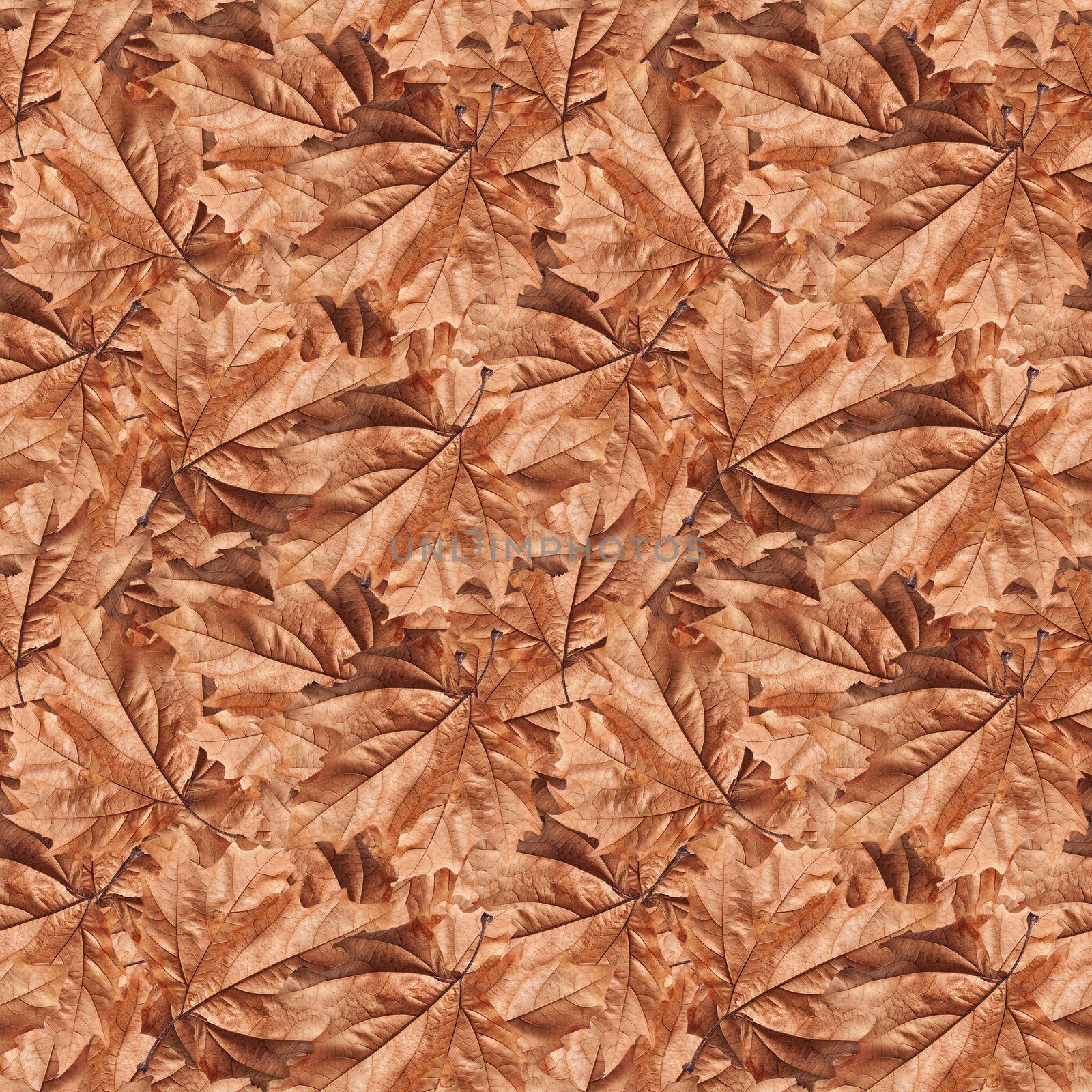 Nature background. Dry autumn leaves seamless pattern. Autumn leaves texture
