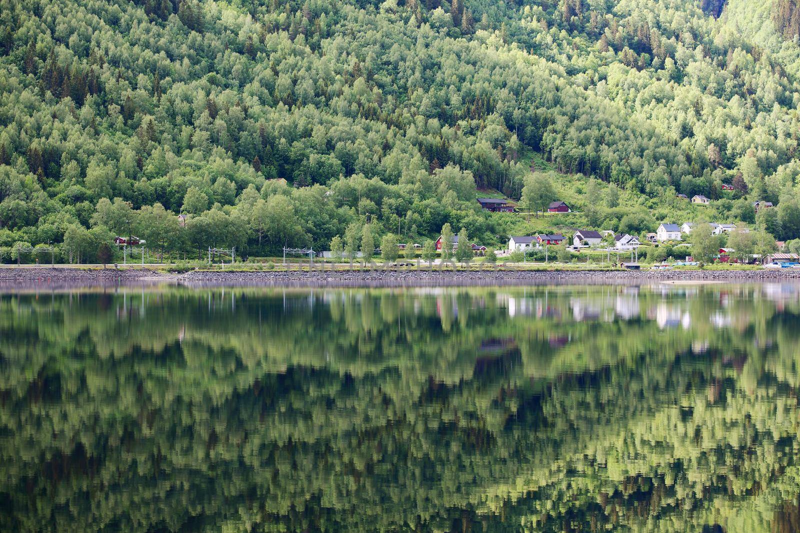 Mountain forest with reflection in water of Hardanger fjord, Norway