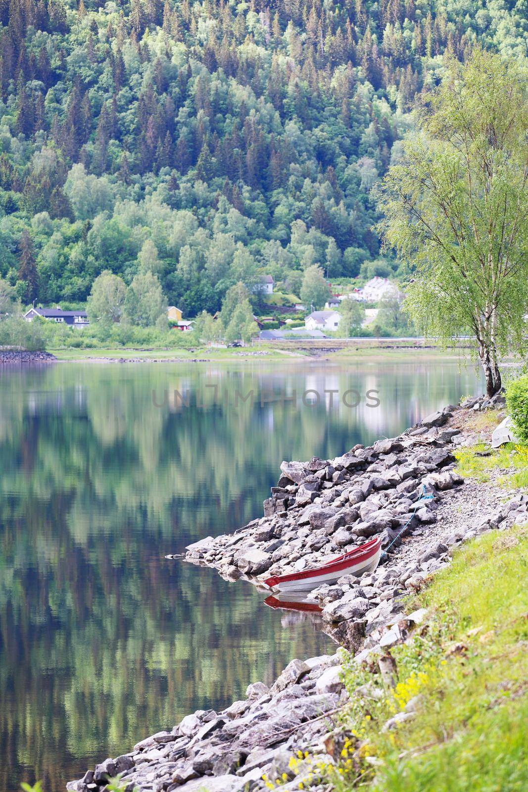 Summer Norway landscape by destillat