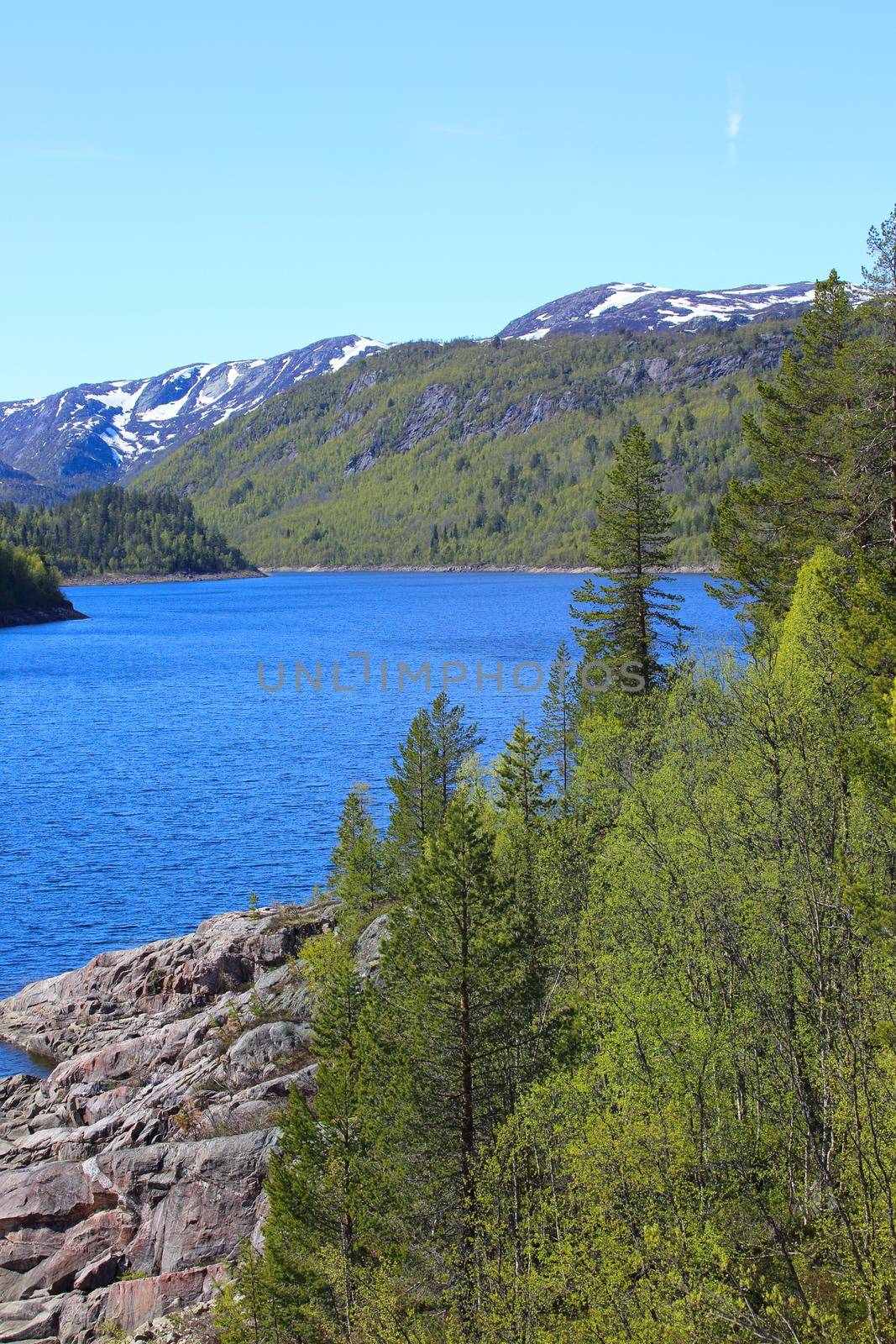 Summer Norway landscape with forest mountains and fjord