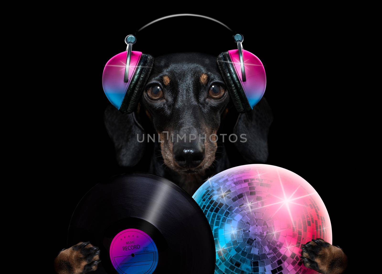 dog listening to music by Brosch