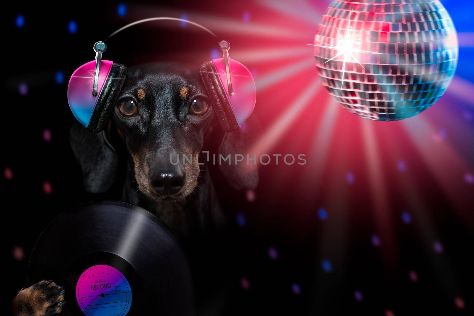 dog listening to music having a party by Brosch