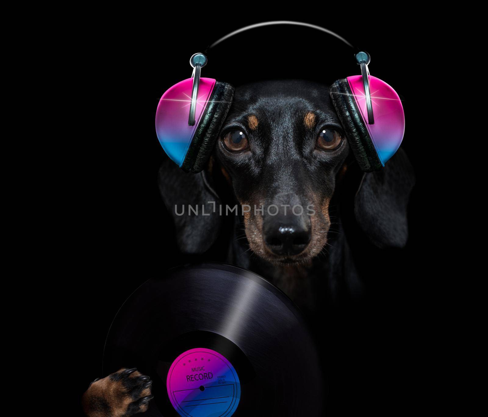 dog listening to music by Brosch