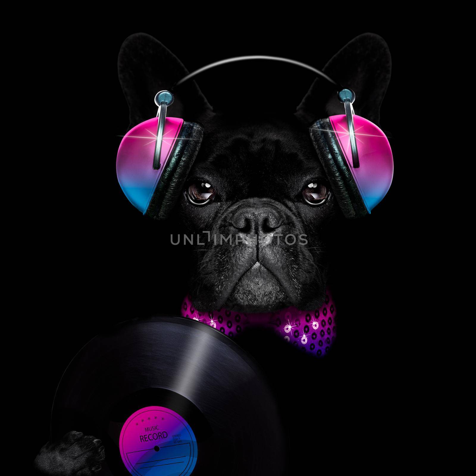 dog listening to music having a party by Brosch