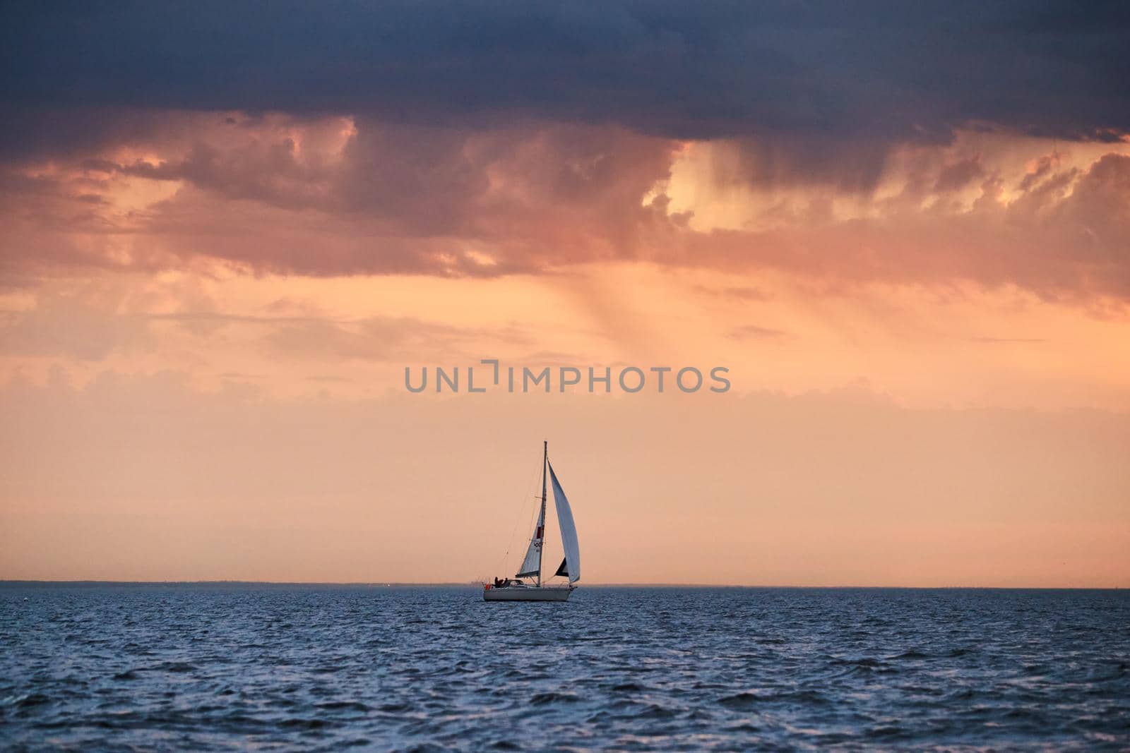 The lonely sailboat in a list goes by sea, the sky of pink color, the storm sky. High quality photo