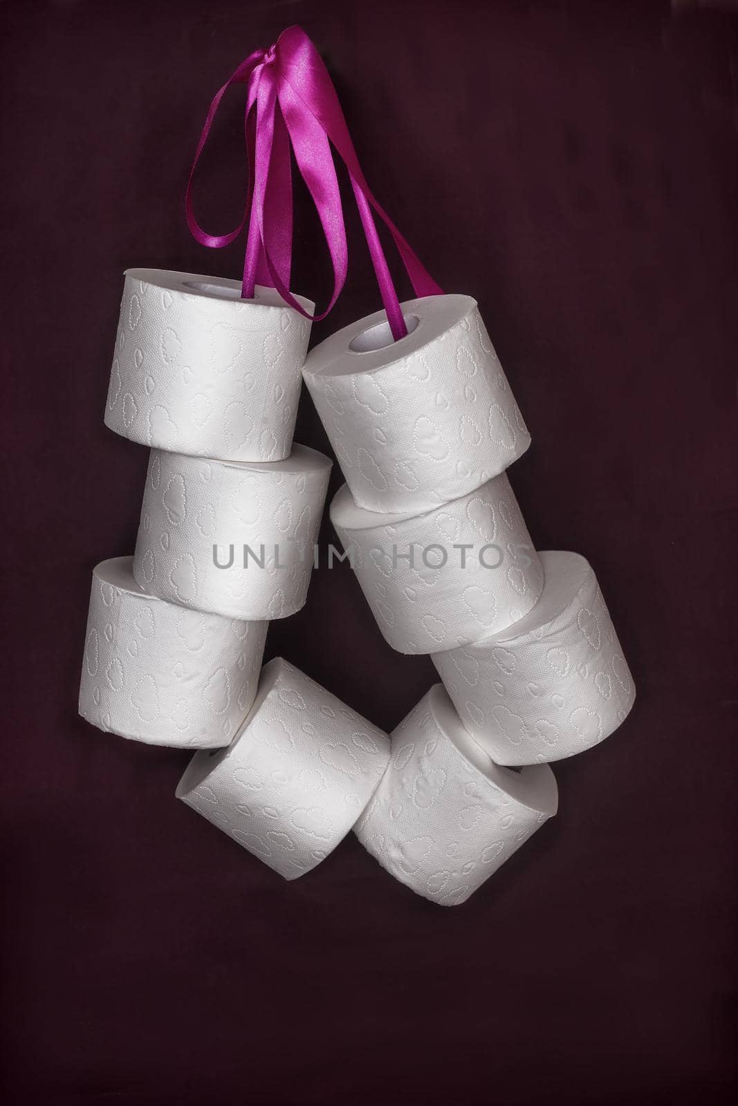 Toilet paper rolls connected by a ribbon in a bundle. by georgina198