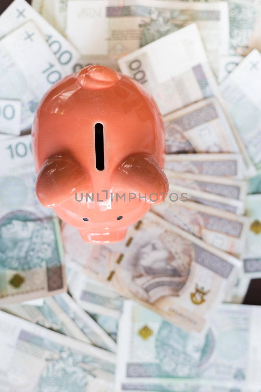 Pink piggy bank with polish paper money - business or financial concept