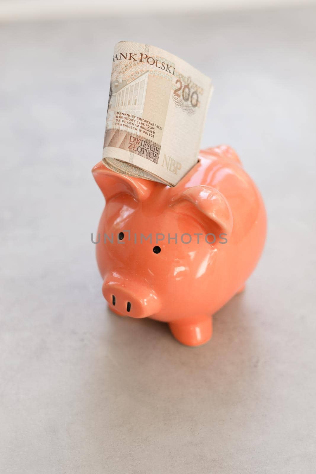 Piggy bank with polish paper money on concrete table - business or financial concept in vertical banner