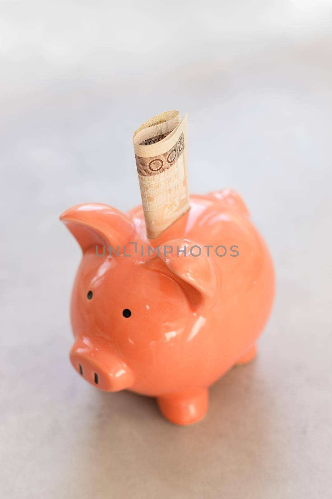 Piggy bank with polish paper money on concrete table - business or financial concept in vertical banner