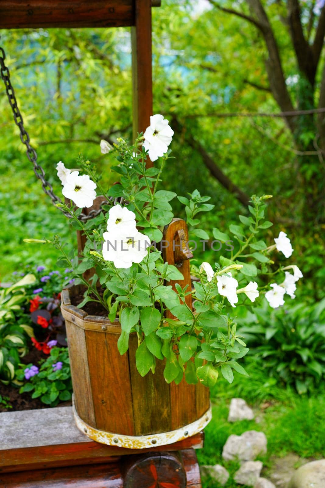 Rural landscape with flowers in a wooden bucket.
