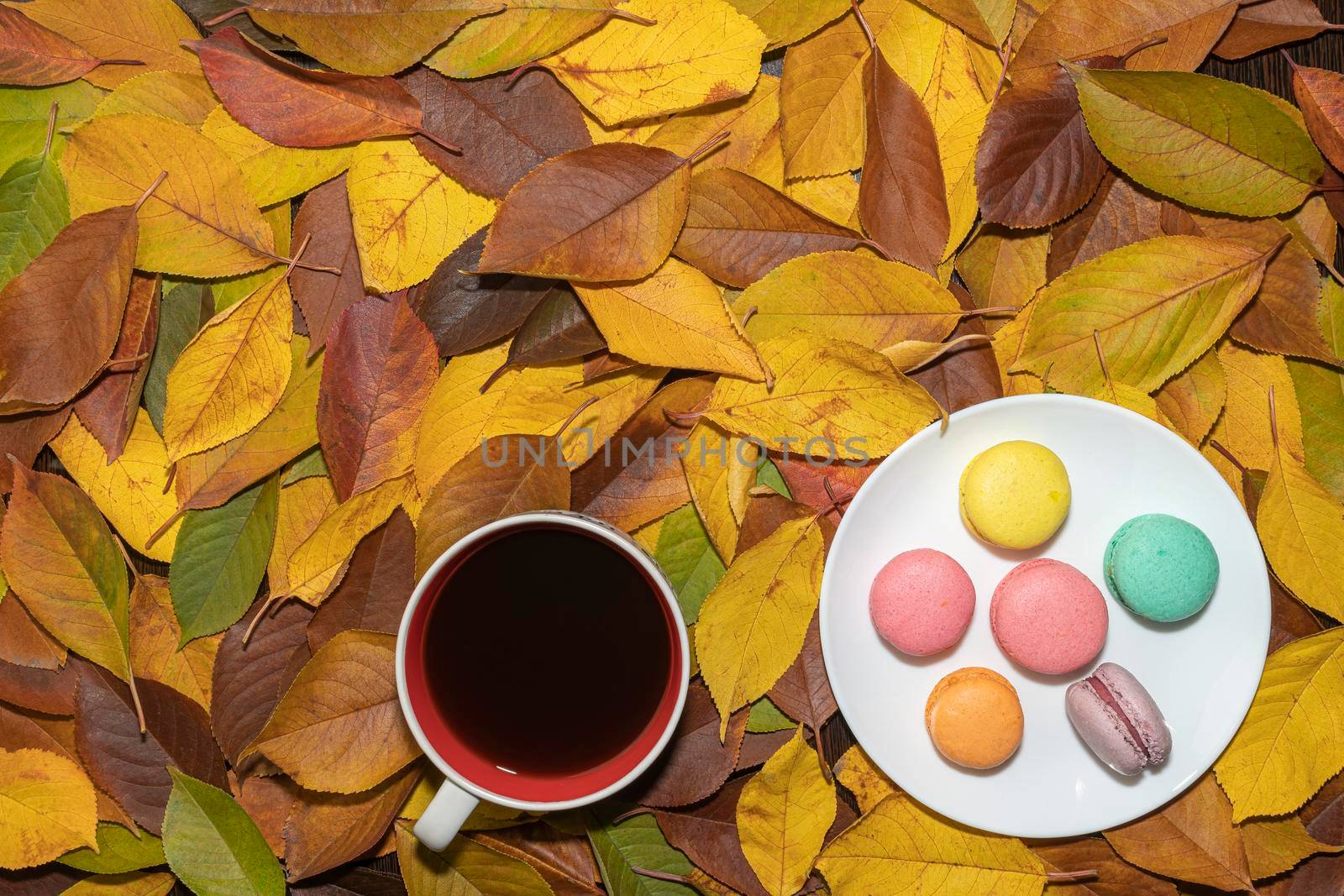 coffee mug and macaroons on yellow autumn leaves. the view from the top by roman112007