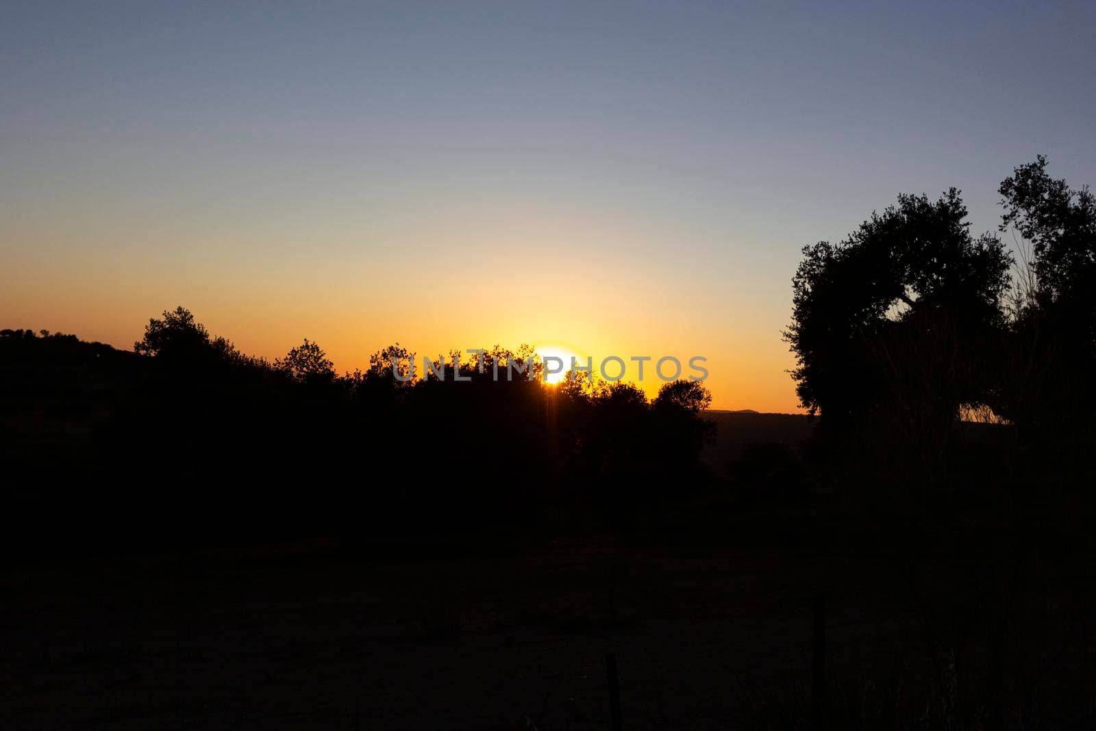 Backlit sunset, southern Andalusia, Spain by loopneo