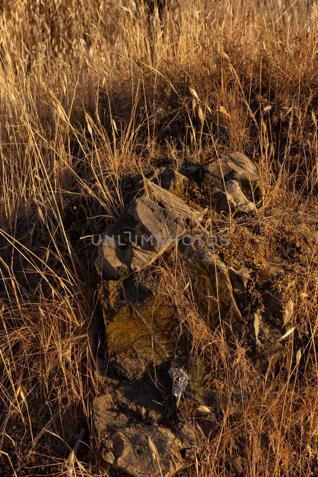 Stones on the road at the golden hour in southern Andalusia by loopneo