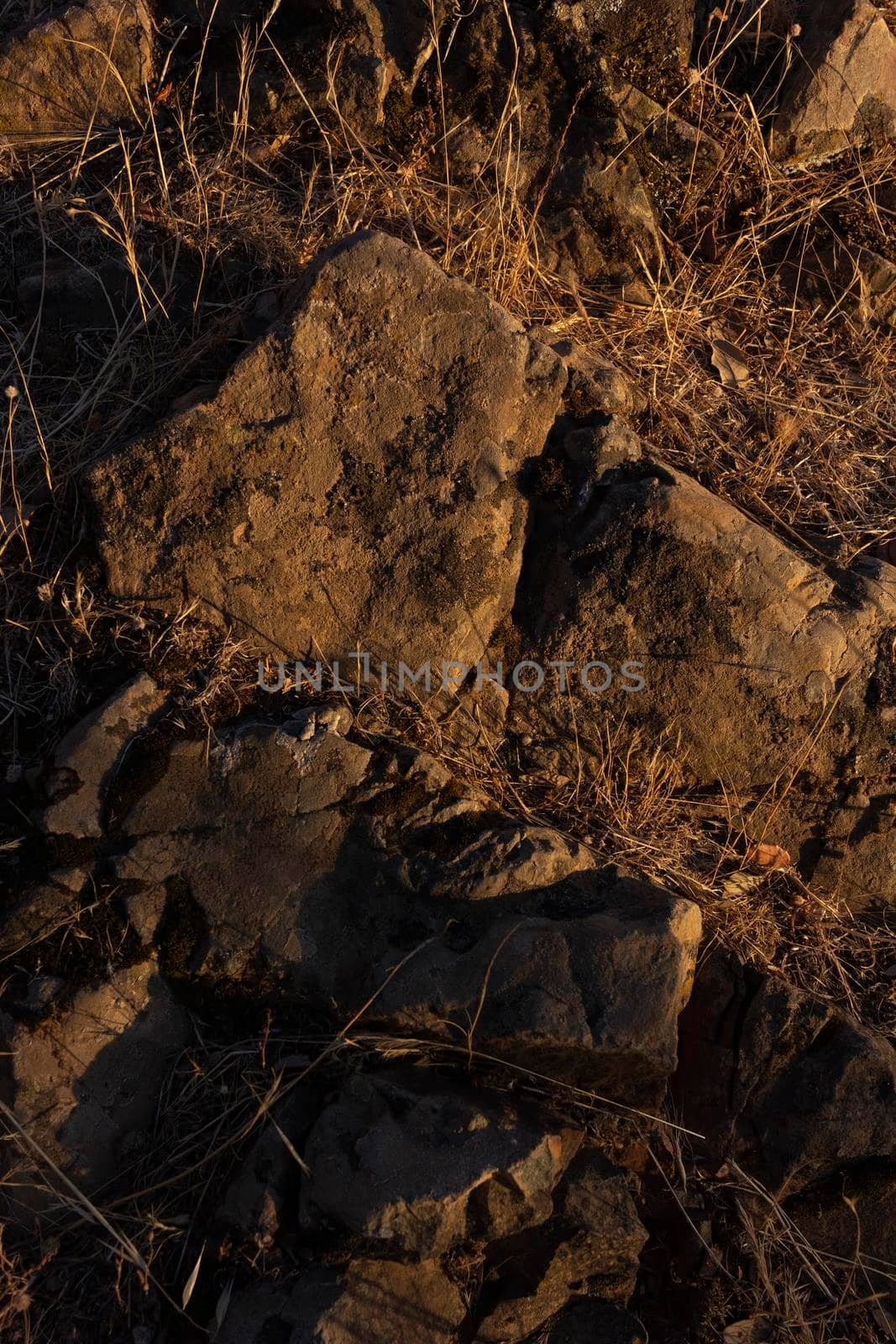 Stones on the road at the golden hour in southern Andalusia by loopneo