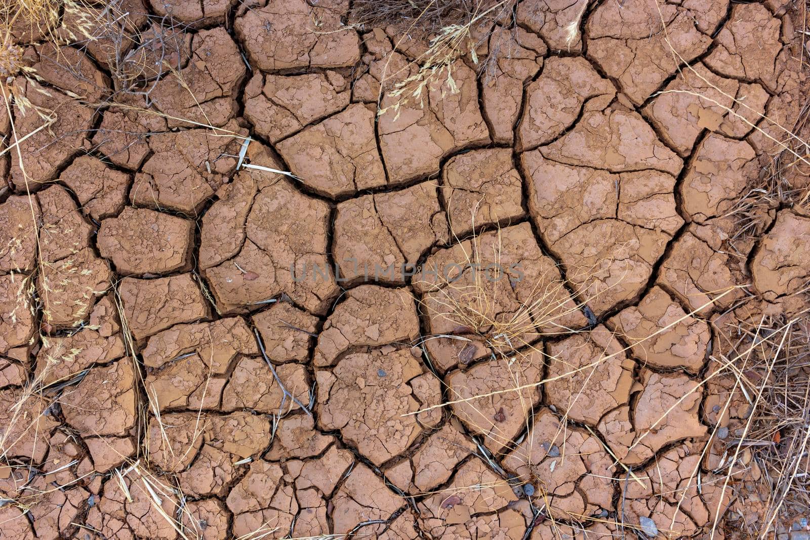 Arid, cracked and dry terrain in southern in Spain by loopneo