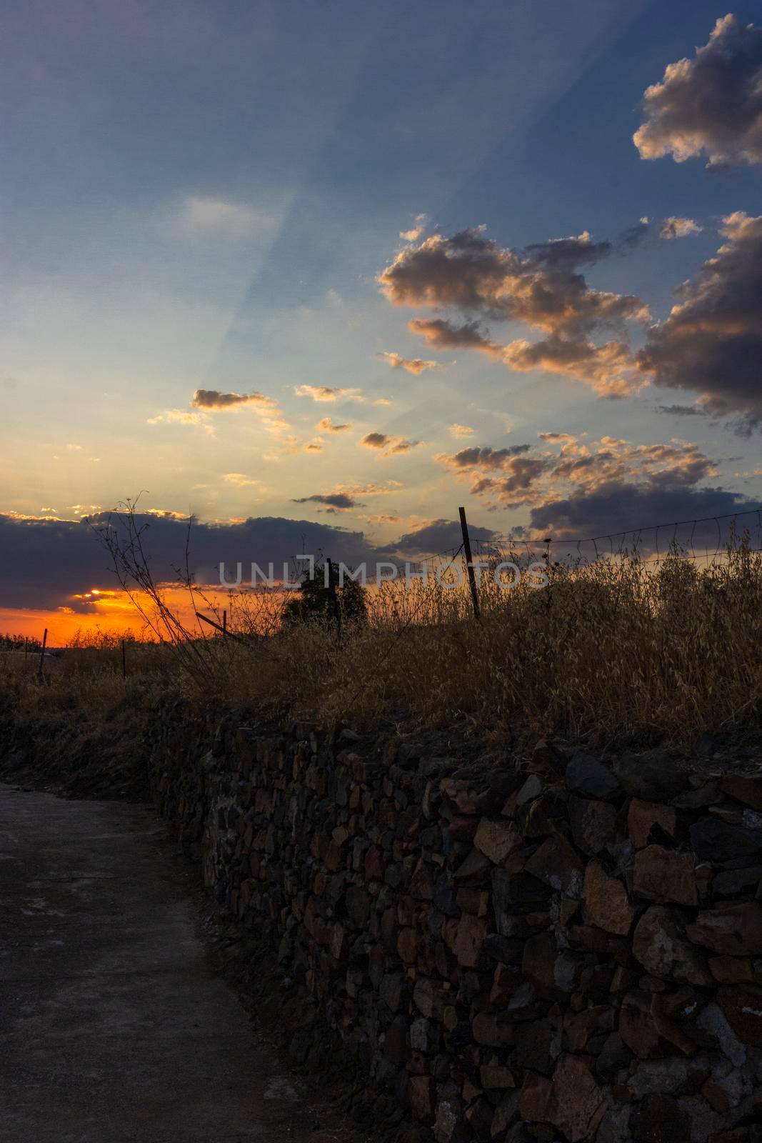 Stone wall in a field in Andalusia with a sunset sky by loopneo