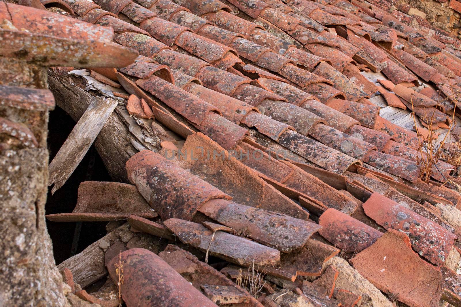 Tiles of a roof of a house in southern Andalusia, Spain