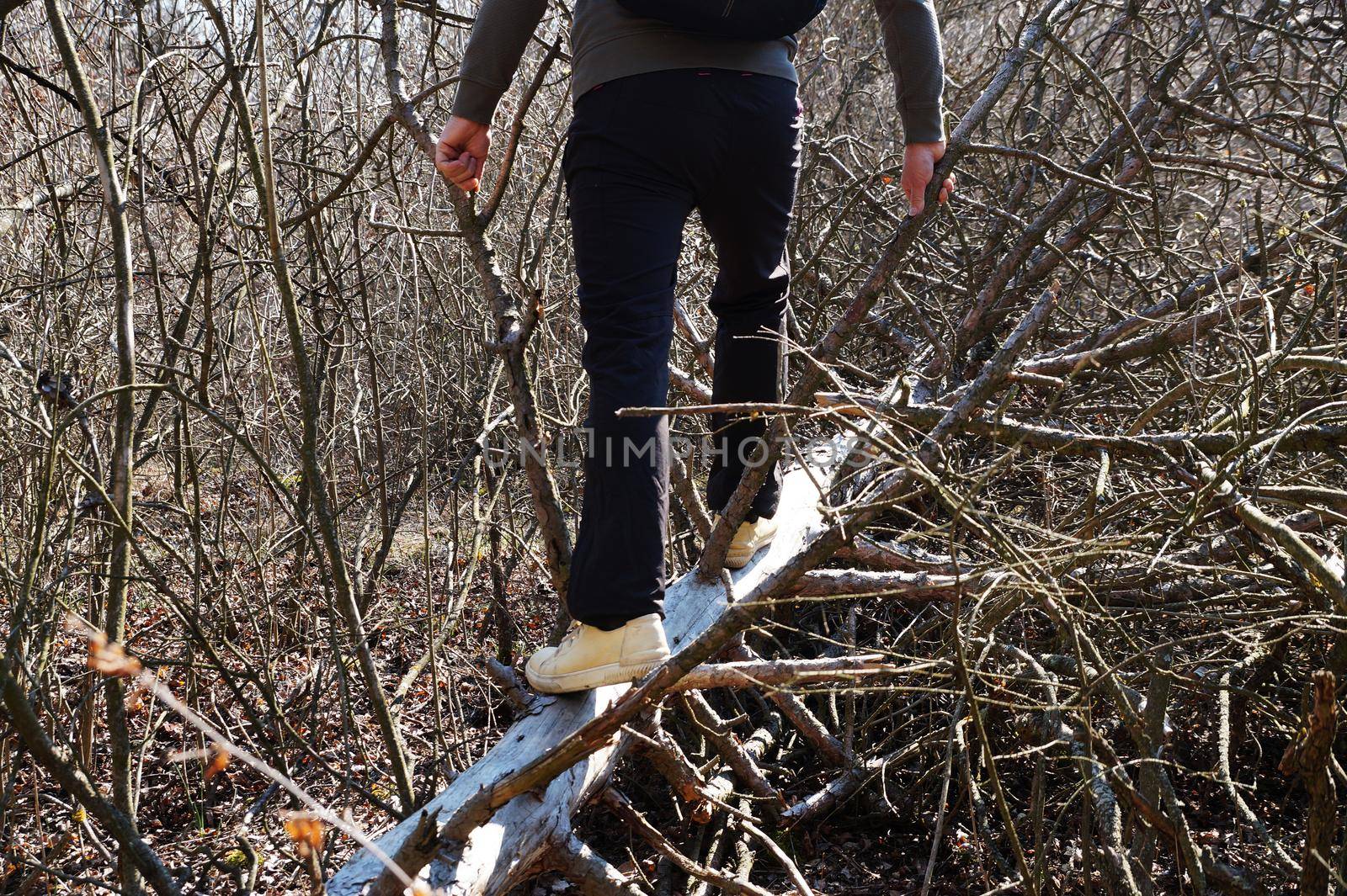 a man walks on a fallen dry tree in the forest close-up