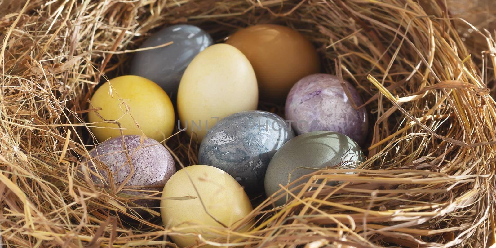 Easter composition - colorful Easter eggs painted with natural dyes in a nest of hay, horizontal banner by galsand