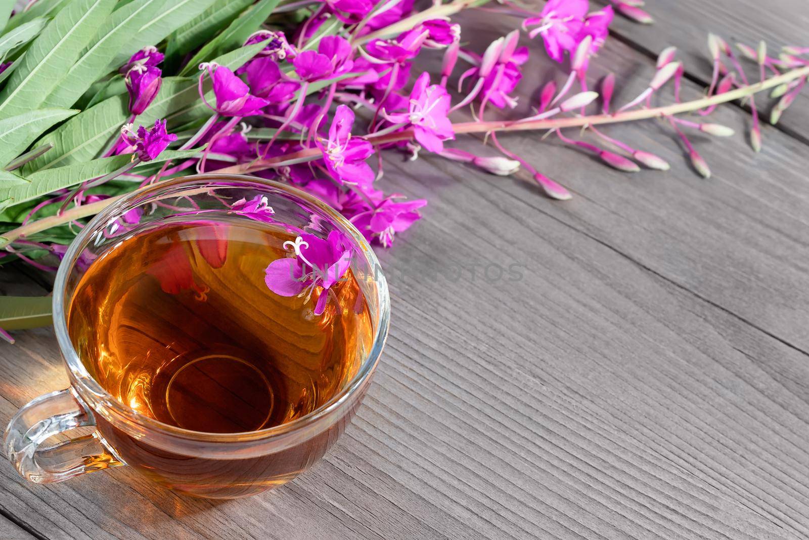 Fireweed herb known as blooming sally and tea in a cup, copy space by galsand