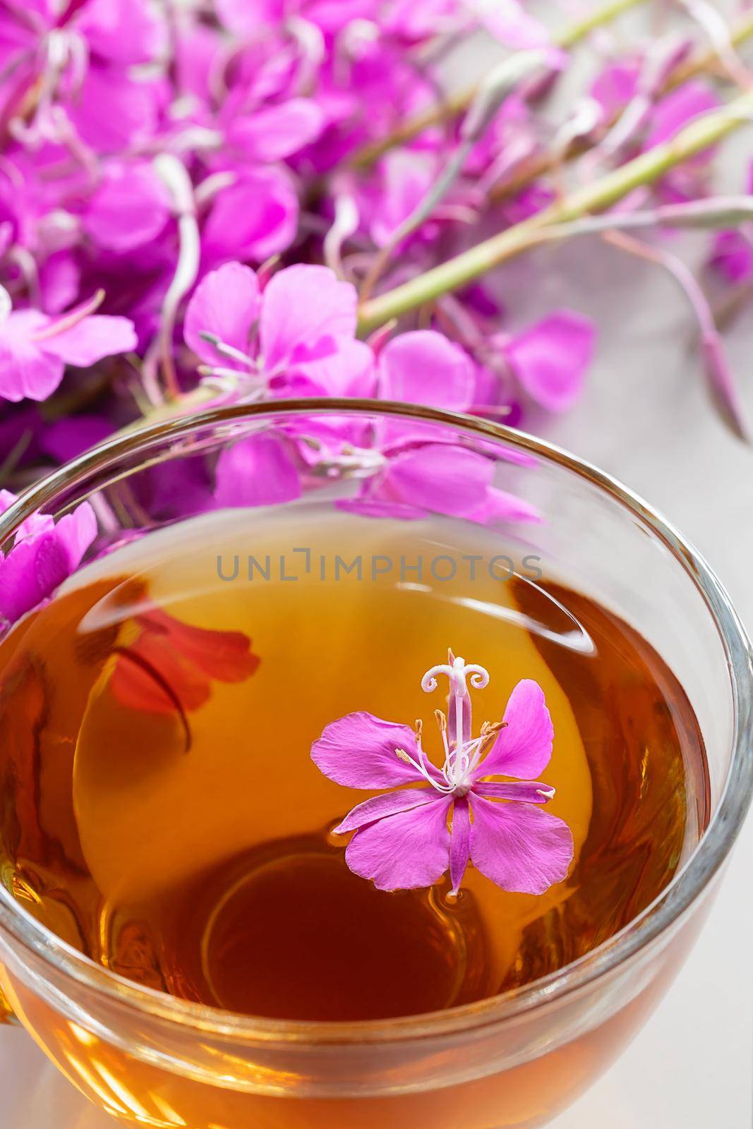 Fireweed herb known as blooming sally and tea in a cup, vertical