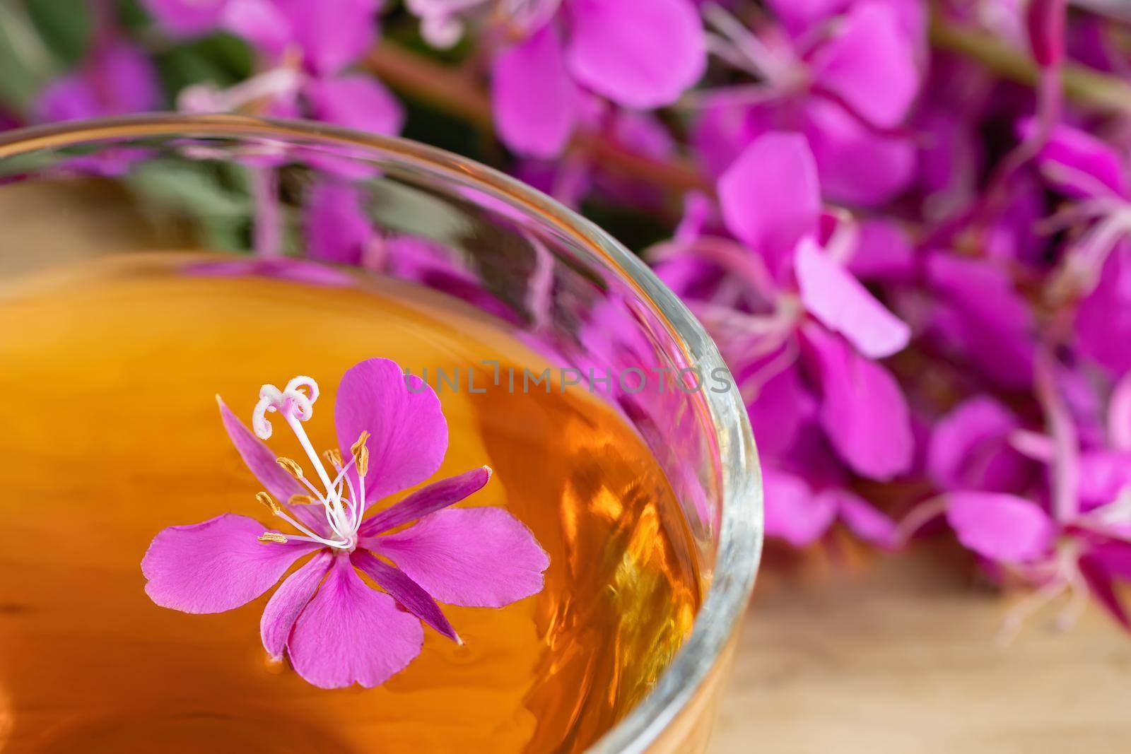 Fireweed herb known as blooming sally and tea in a cup.