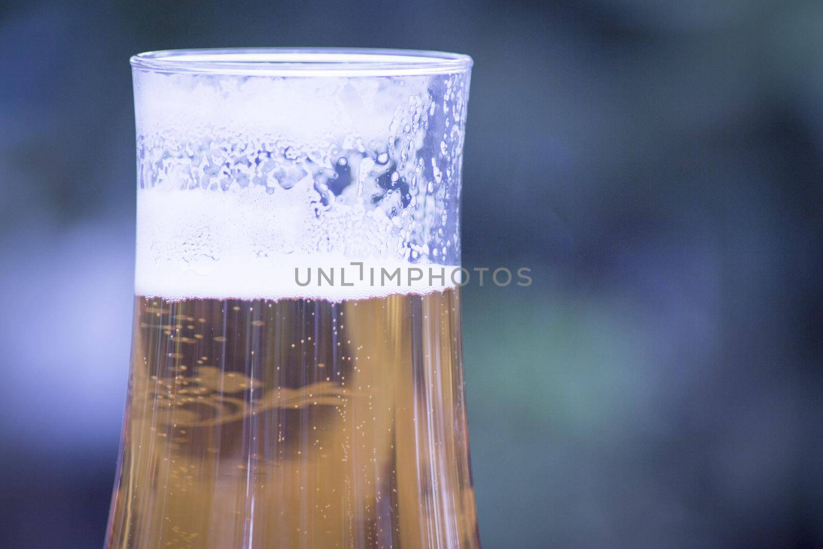 Glass goblet with lager beer. No people. Copy space