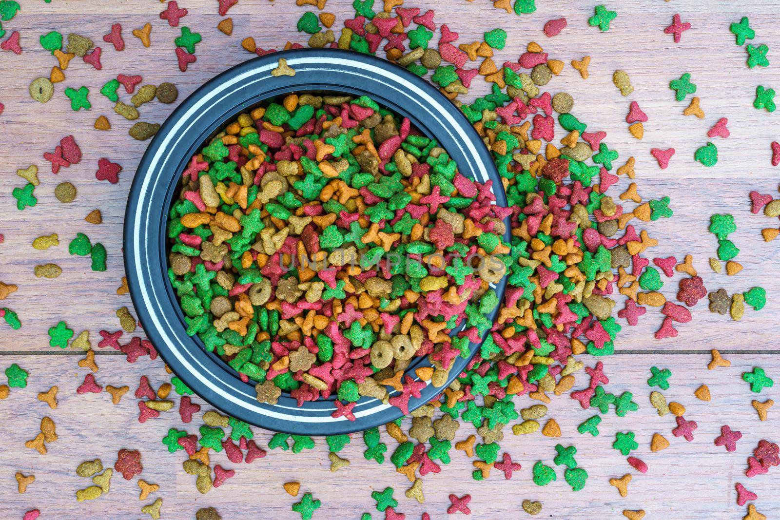 Top view dry cat food in bowl on wooden background