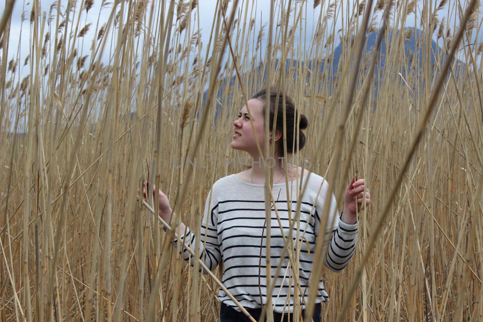 Portrait of a young girl in an outdoor field against a backdrop of wheat or tall grass. High quality photo