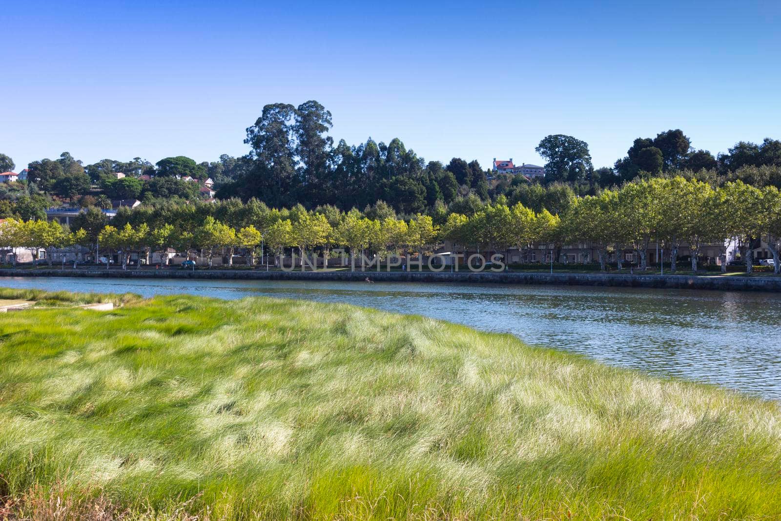 river in the city of pontevedra in galicia, spain