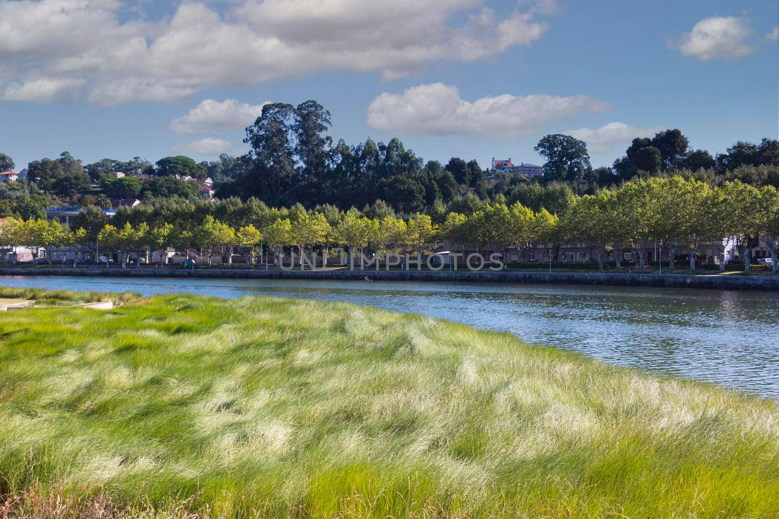 river in the city of pontevedra in galicia, spain