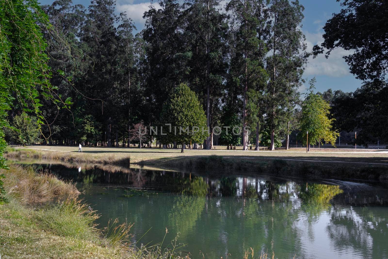 river in the city of pontevedra in galicia, spain