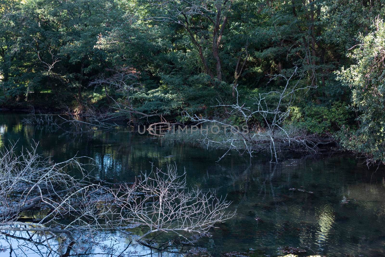 river in the city of pontevedra in galicia, spain