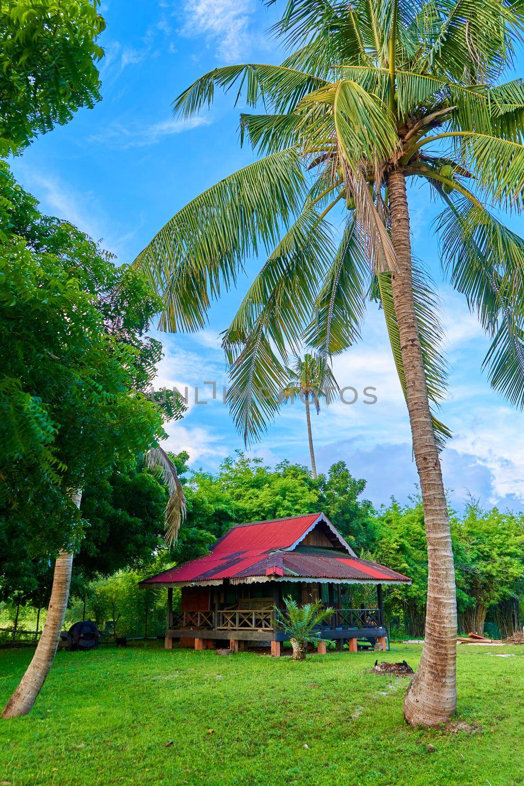 Vacation housing. A house in the jungle on an island
