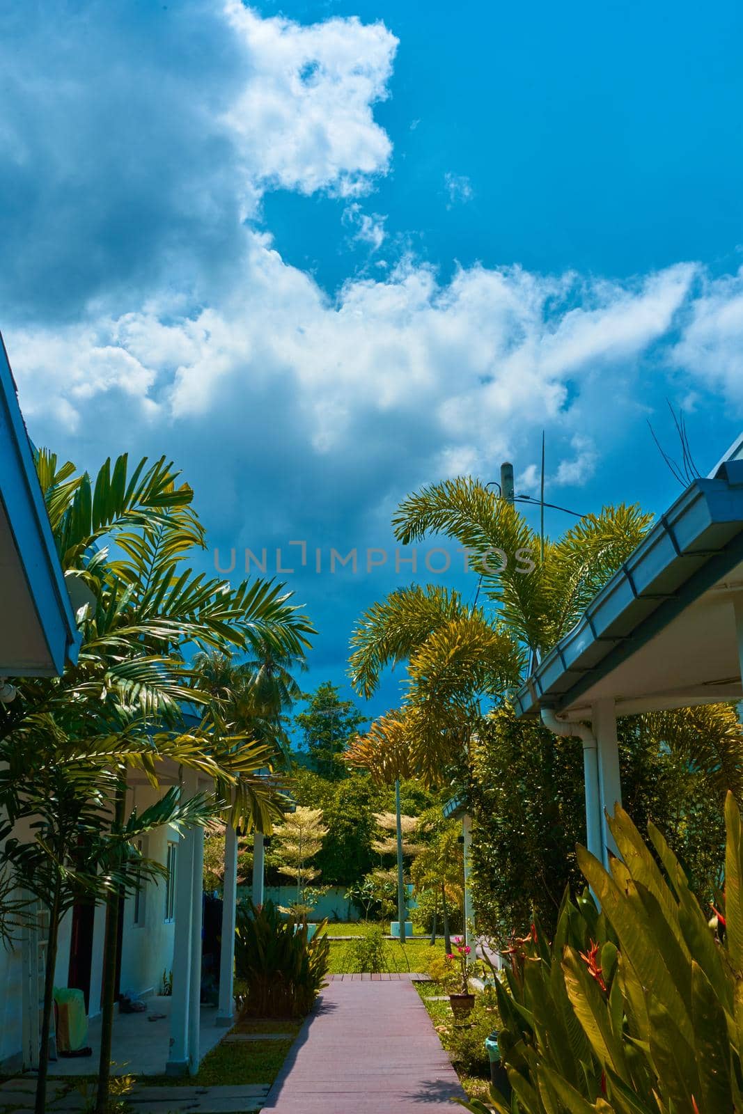 Yard with green trees in a cottage town in the tropics. Resort on the island.