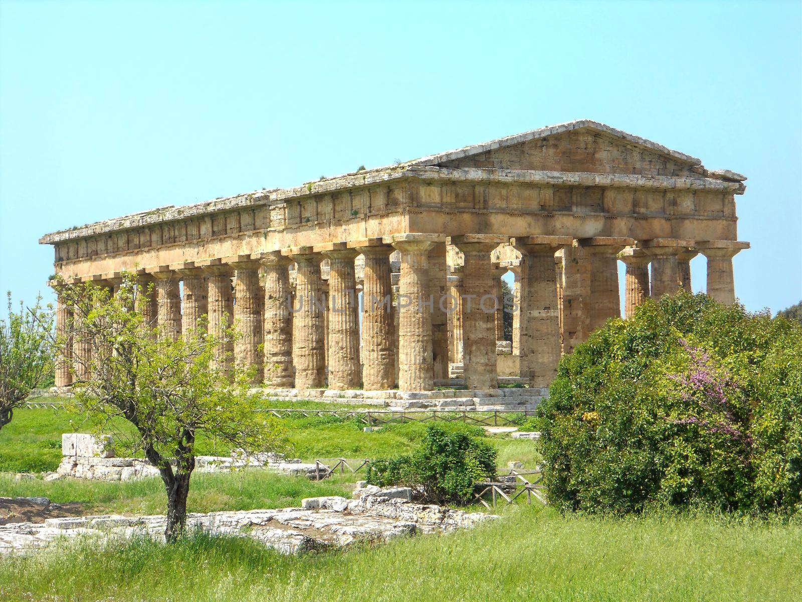 archaeological excavations sacred temple paestum in naples