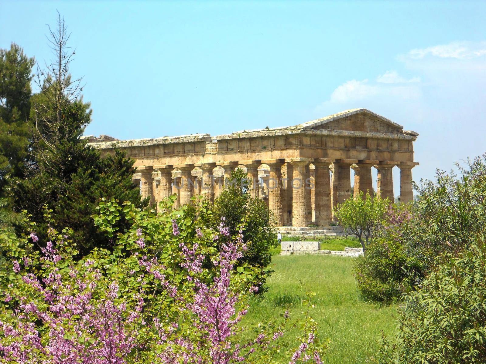 archaeological excavations sacred temple paestum in naples
