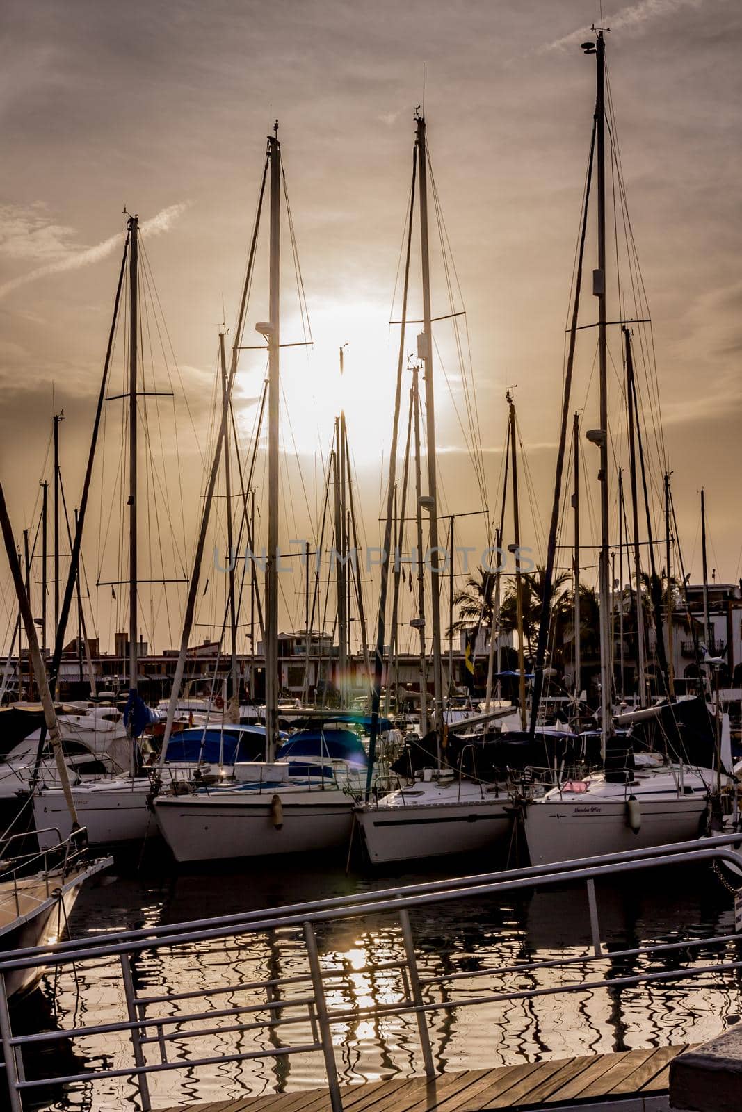 white boats moored in a marina against and orange sunset