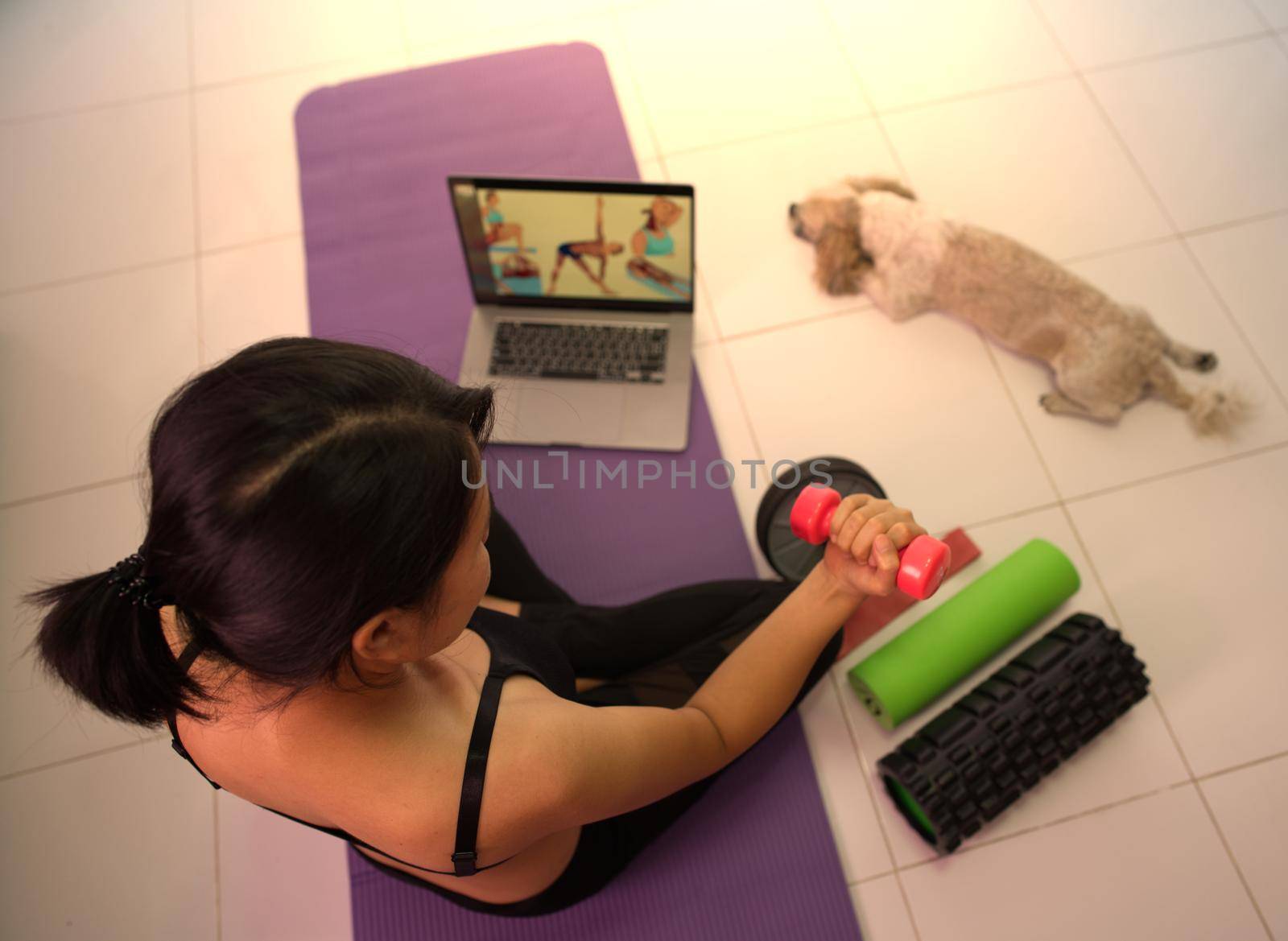 Asian woman training to lift pink dumbbells for building muscle, concept of staying healthy by weight loss and recreation at their own residence.