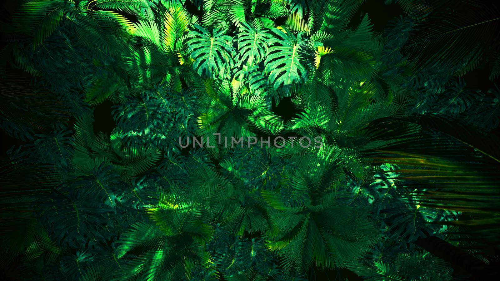 Adventure In Jungle Summer by urzine