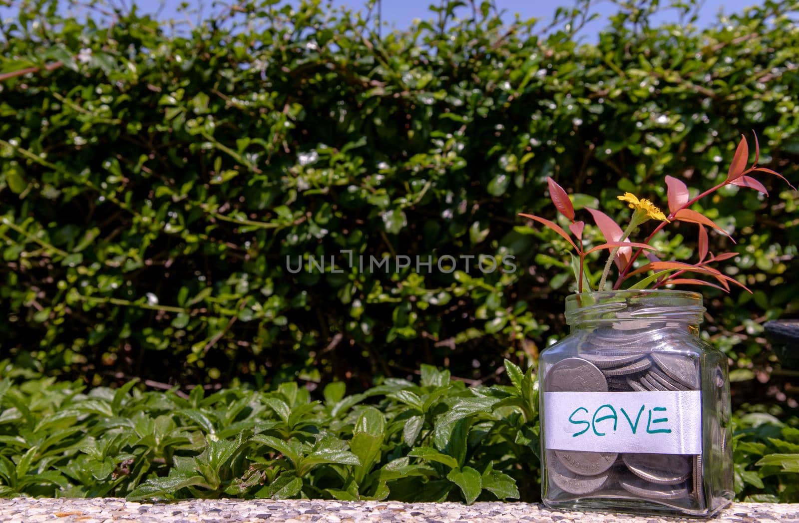 The pile of coins in glass bottle on natural green background for concept for growth and saving money. Space for text input, Selective focus.